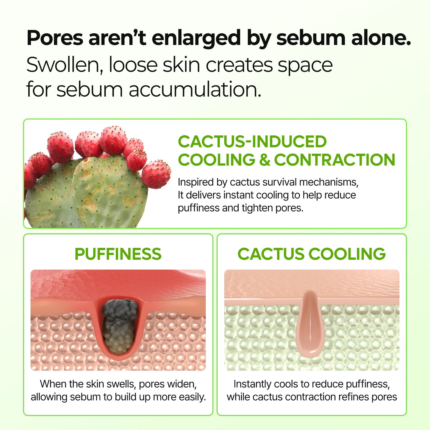 CACTOX Pore Relief Multi-Balsam